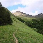 Plötzlich dehnen sich weite Bergwiesen aus 