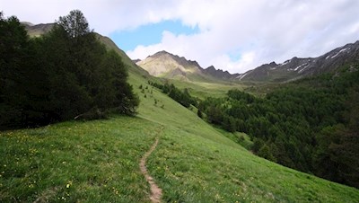 Plötzlich dehnen sich weite Bergwiesen aus 