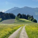 Durch das blühende Biotop Grante Moos nach Elzenbaum