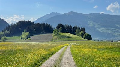 Durch das blühende Biotop Grante Moos nach Elzenbaum