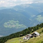 Inmitten malerischer Almwiesen lädt die Ochsenalm zur Einkehr