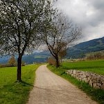 Auf dem Weg Nr. 7 zurück nach Issing