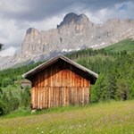 Am Fuße des Rosengarten verzaubern schöne Almwiesen