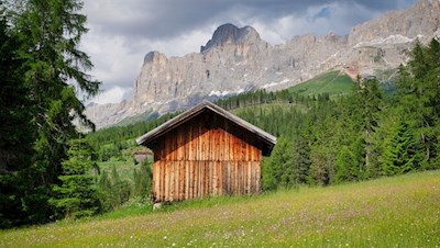Am Fuße des Rosengarten verzaubern schöne Almwiesen