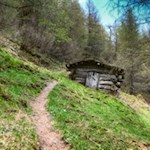 Auf dem schmalen Pfad Nr. 6A in Richtung Prantner Alm