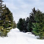 Wanderung vom Speckboden zur Gasserhütte