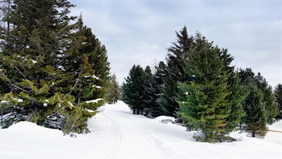 Wanderung vom Speckboden zur Gasserhütte