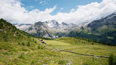 Die Obere Kofleralm ist in eine malerische Natur gebettet