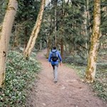 Wandern Frühlingstal