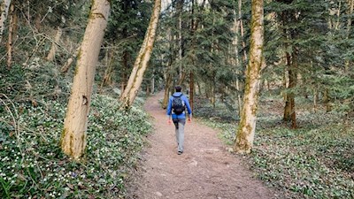 Wandern Frühlingstal