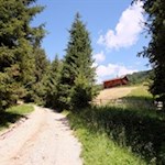 Auf sanften Wegen zur Brunnerwiesen Alm