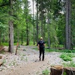 Durch malerischen Mischwald zur Malga Maraia
