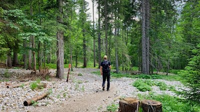 Durch malerischen Mischwald zur Malga Maraia