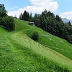 Auf dem Wiesenweg Nr. 5C zur Schwarzbachalm