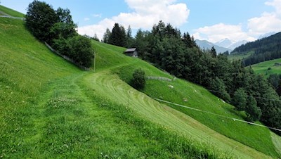 Auf dem Wiesenweg Nr. 5C zur Schwarzbachalm
