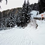 Durch den winterweißen Nadelwald zurück nach Sterzing