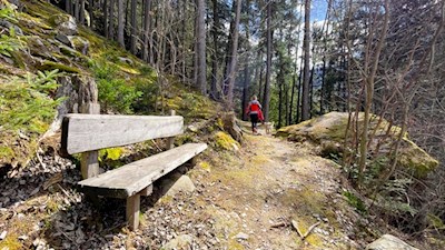 Sanfte Wanderung bei Sand in Taufers