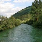 Auenwald entlang der Rienz