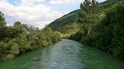 Auenwald entlang der Rienz