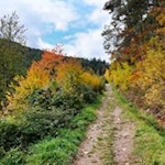 Von Unterinn zum Wolfsgrubener See