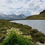 An den friedvollen Koflerseen