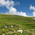 Durch blumenfrohe Bergwiesen zum Schlernhaus