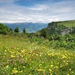Ausblick vom blumenfrohen Spitzbühl
