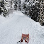 Rodelbahn von der Pertinger Alm