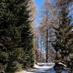 Auf dem gemächlich ansteigenden Weg Nr. 9 zur Anratterhütte