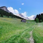 Durch ein Blumenmeer zur Plafötsch Alm