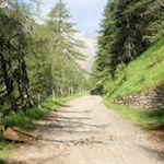 Auf sanften Wegen zur Weitenbergalm