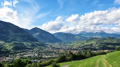 Vom berauschenden Duft der Brixner Sommerwiesen erfüllt...