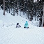 Die Rosskopf Rodelbahn erfreut sich großer Beliebtheit