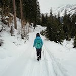 Im sanften Anstieg in Richtung Zunderspitzhütte