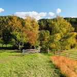 Wandern auf dem Ritten
