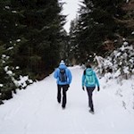 Der breite Forstweg führt in angenehmer Steigung zur Äußeren Wurzeralm