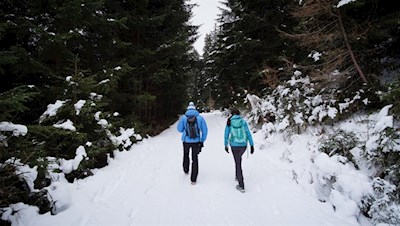 Der breite Forstweg führt in angenehmer Steigung zur Äußeren Wurzeralm