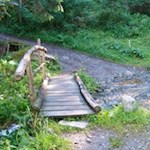 Die kleine Holzbrücke geleitet sicheren Fußes über den Schellenbergbach