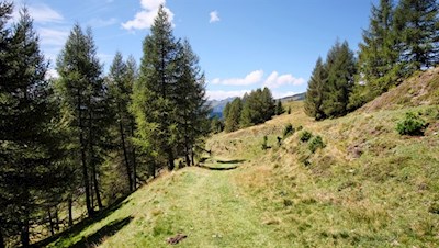 Auf sanften Wegen zur Sunnolm