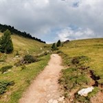 Near the passo di Brogles pass the hiking trail no. 5 branches off to Ortisei