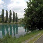 The riverbank of the Mincio is lined with cypresses