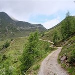 Vom Ochsenboden folgt man dem Weg Nr. 6 zur tiefer liegenden Weißalm