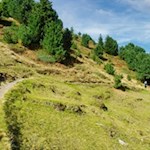 Auf abgeschiedenen Wegen in Richtung Maurerberg