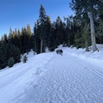 Winterwandern Ratschings