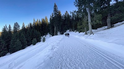 Winterwandern Ratschings