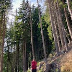 Wandern mit Hund auf die Villanderer Alm