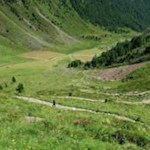 Ziemlich steil windet sich der Steig Nr. 15 durch die sattgrünen Almwiesen in Richtung Seefeldseen
