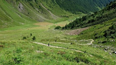 Ziemlich steil windet sich der Steig Nr. 15 durch die sattgrünen Almwiesen in Richtung Seefeldseen