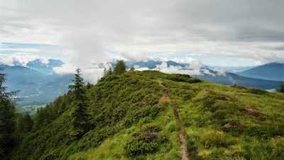 Über einen aussichtsreichen Kamm steigt der Weg auf den Steinspitz an