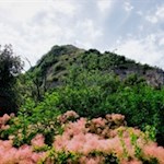 Around the Rocca di Manerba thrives a vegetation rich in species